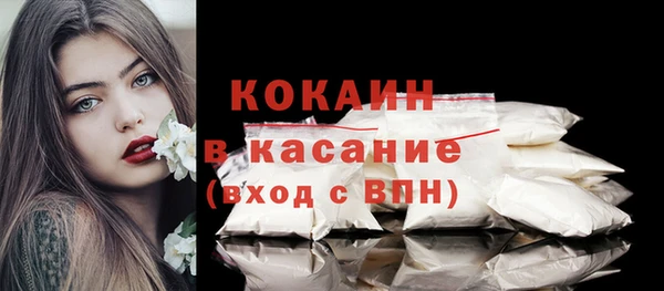 гашик Алексин