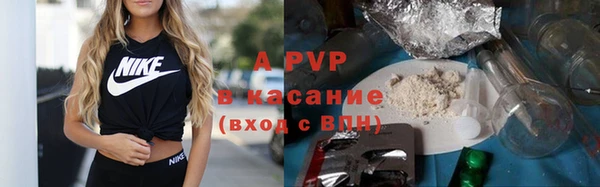 гашик Алексин