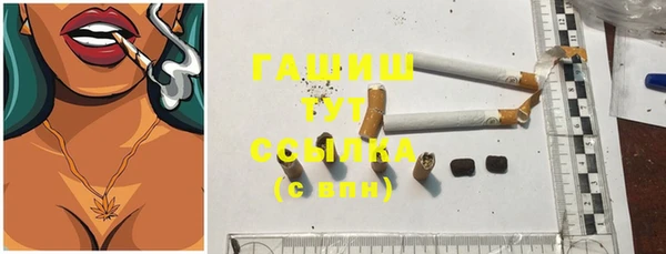 индика Алзамай