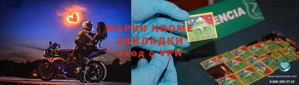 гашик Алексин