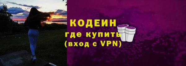 гашик Алексин
