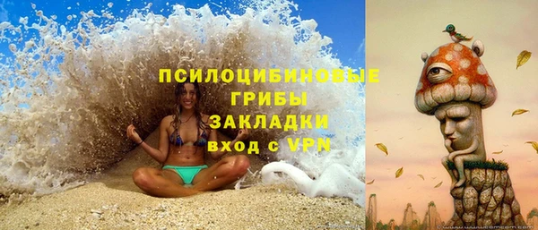 гашик Алексин