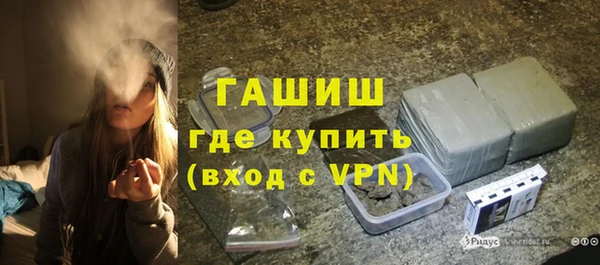 гашик Алексин