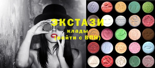 гашик Алексин