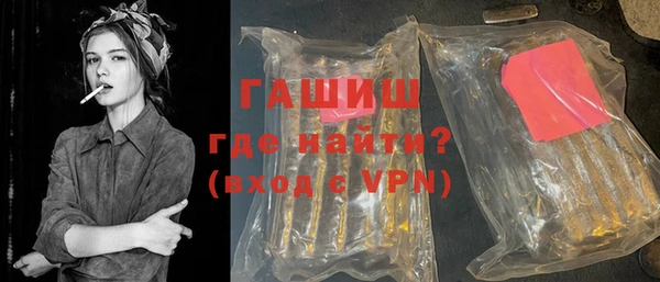 гашик Алексин