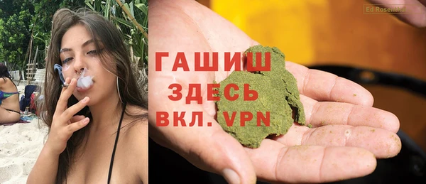 гашик Алексин